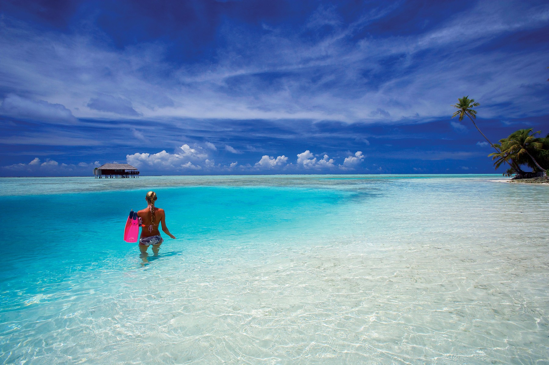 Lagoon Suite